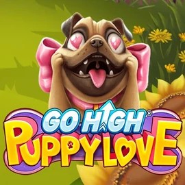 Go High Puppy Love logo – Slots by RubyPlay at Casea Casino