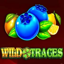Wild Traces game by Amusnet Interactive – logo hosted on Casea Casino