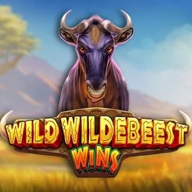 Wild Wildebeest Wins logo by Pragmatic Play at Casea Casino